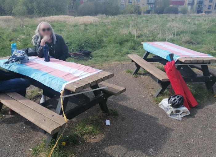 Picnic table with trans flag
